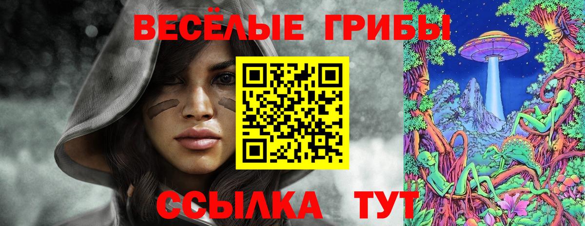 Галлюциногенные грибы прущие грибы  Вход с VPN  Ливны 