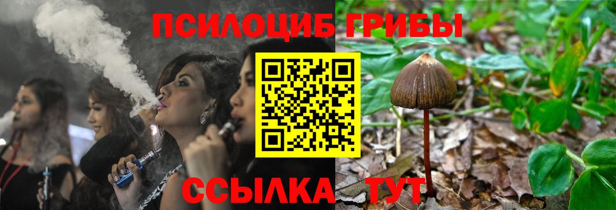 Псилоцибиновые грибы Magic Shrooms Ливны